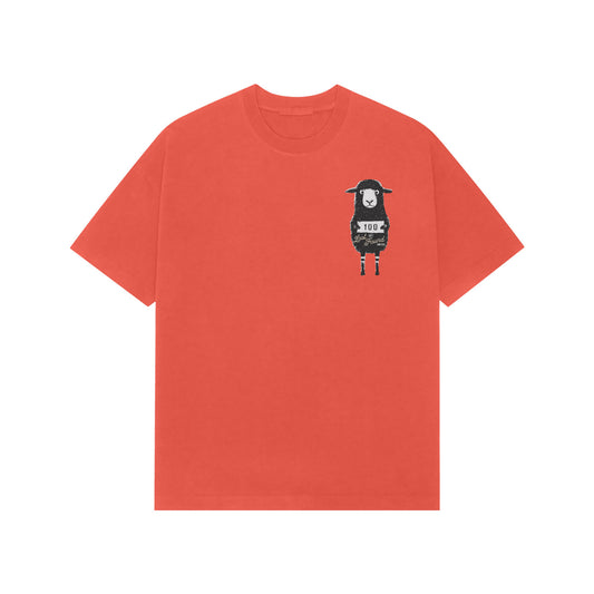 Front View - 5696731